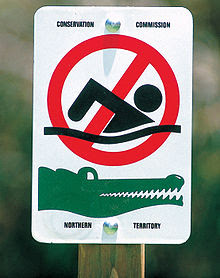 If you swim with crocodiles….