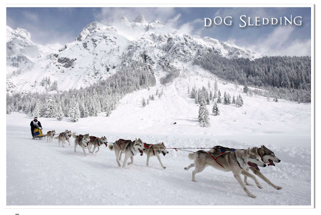 Strange Ways to Go Dashing Through the Snow