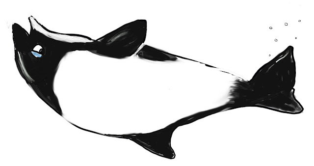 What's black and white and swims upside-down?